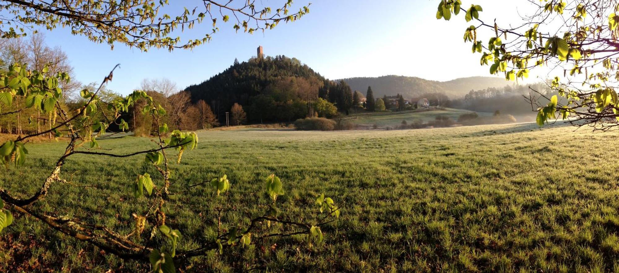 Sturzelbronn Le Gite De L'Ecureuil מראה חיצוני תמונה