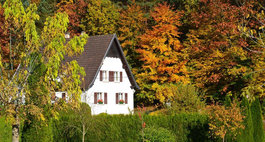Sturzelbronn Le Gite De L'Ecureuil מראה חיצוני תמונה