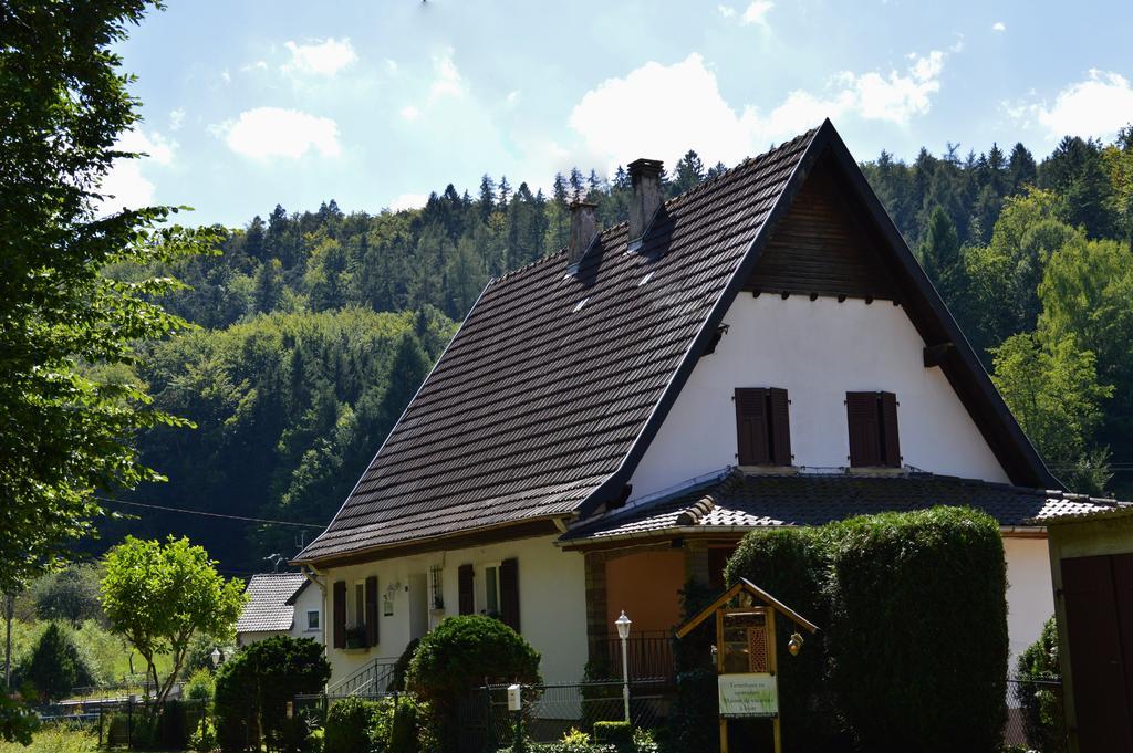 Sturzelbronn Le Gite De L'Ecureuil מראה חיצוני תמונה