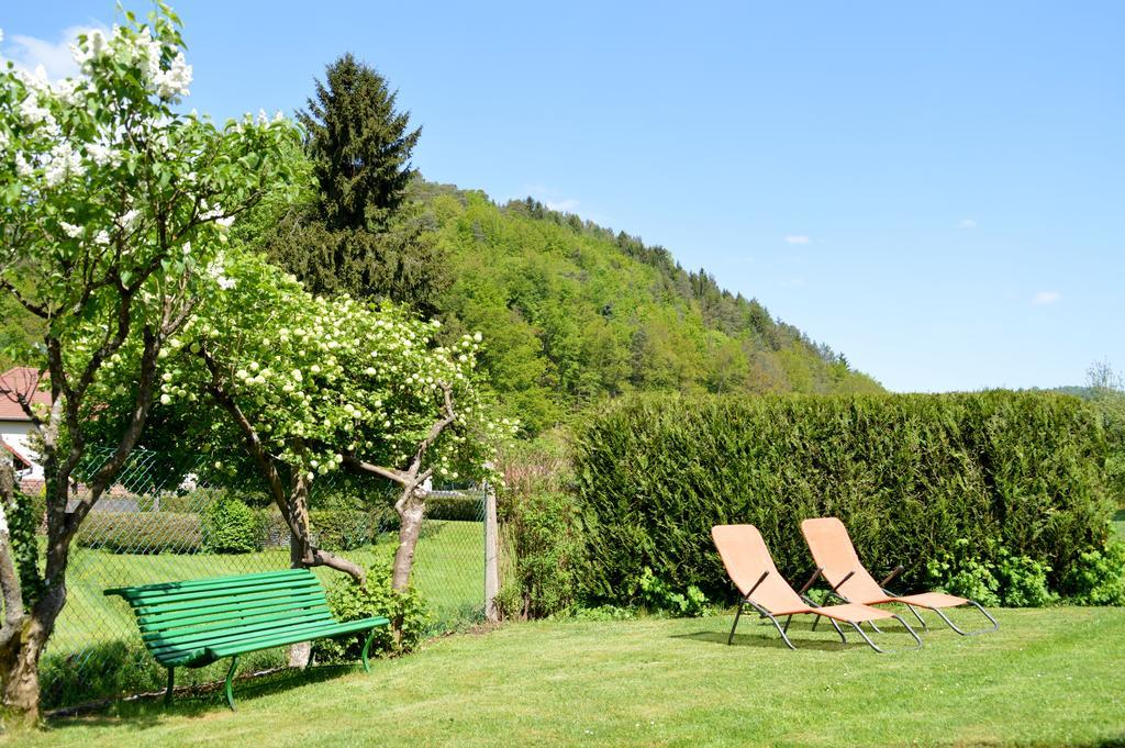 Sturzelbronn Le Gite De L'Ecureuil מראה חיצוני תמונה