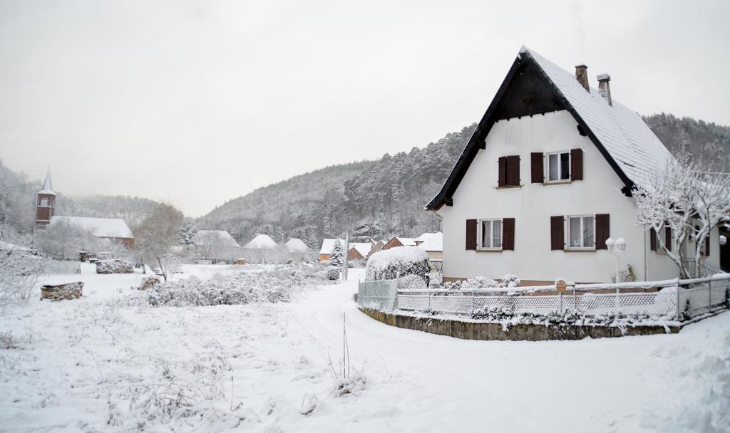 Sturzelbronn Le Gite De L'Ecureuil מראה חיצוני תמונה