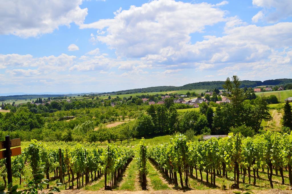 Sturzelbronn Le Gite De L'Ecureuil מראה חיצוני תמונה