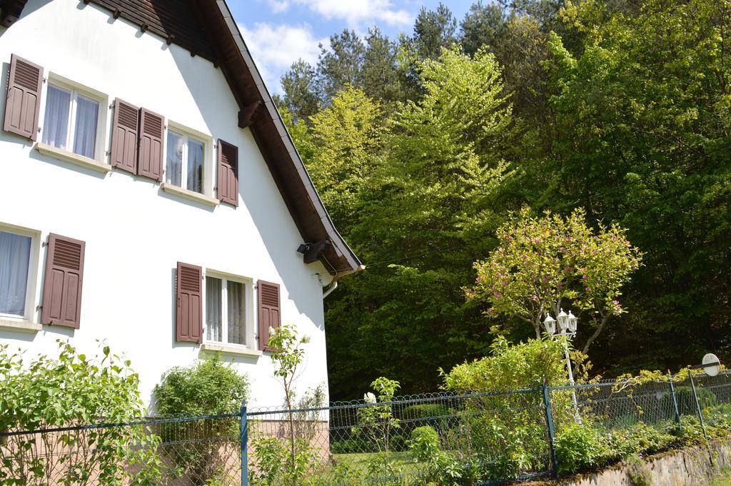 Sturzelbronn Le Gite De L'Ecureuil מראה חיצוני תמונה
